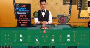 thái hilo jun88: hướng dẫn chơi chi tiết và hiệu quả 2 đặt cược thai hilo jun88