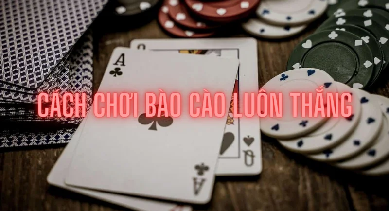 bí quyết chơi bài cào thắng lợi dễ dàng từ chuyên gia 4 kinh nghiệm chơi bài cào