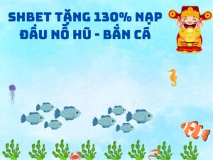 shbet thuong 130 nap dau no hu ban ca